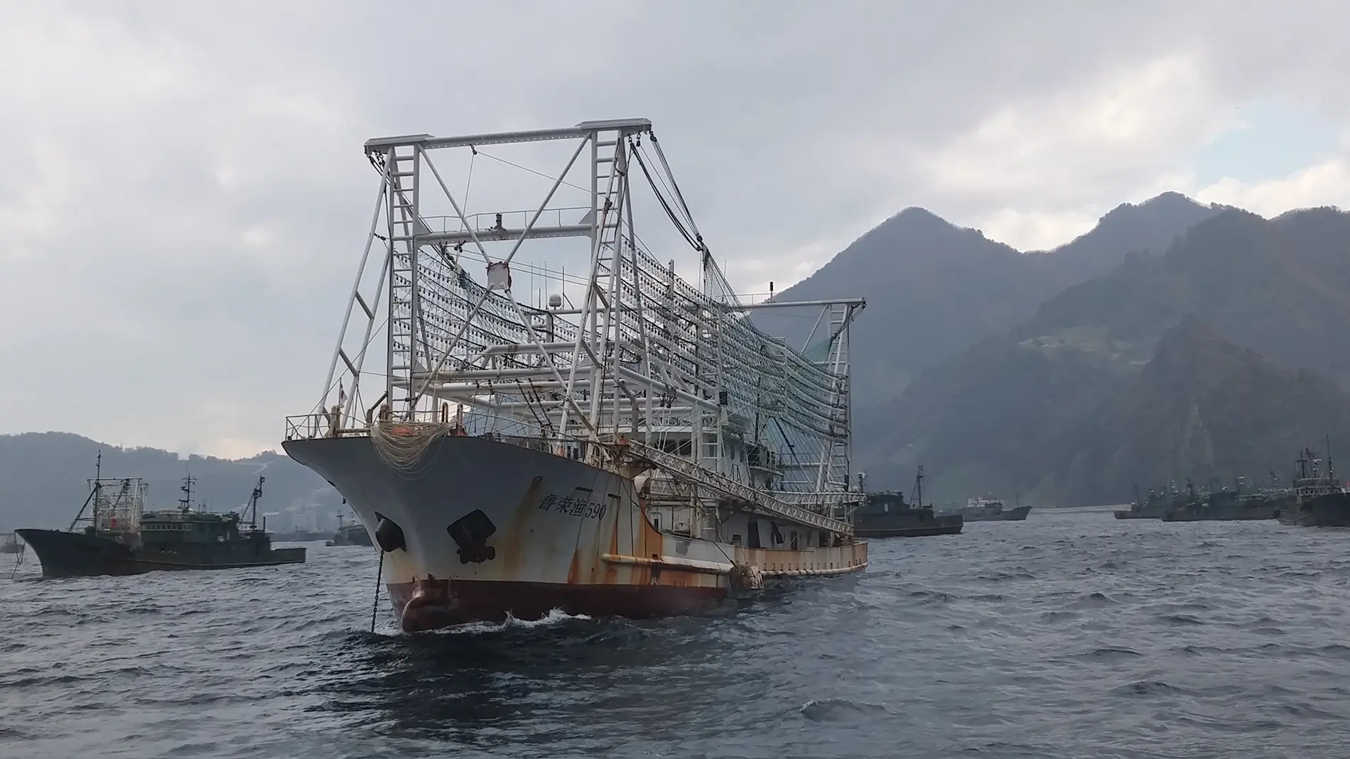 Industrial squid fishing vessels light up the night, using hundreds of powerful lamps to attract squid as they travel thousands of miles across the ocean.