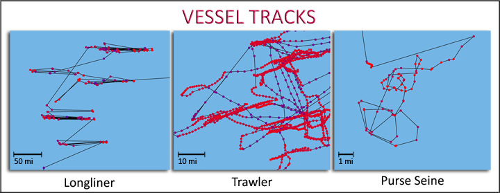 Sample Vessel Tracks