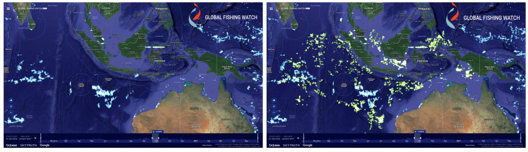 Global Fishing Watch uses publicly broadcast AIS signals to track fishing vessels. On the Global Fishing Watch heat map, every lighted point represents a fishing vessel. The blue points are vessels detected through AIS, the green points represent nearly 5,000 additional vessels revealed through Indonesia’s Vessel Monitoring System data.