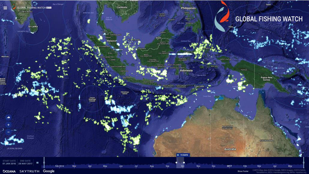 Global Fishing Watch uses publicly broadcast AIS signals to track fishing vessels. On the Global Fishing Watch heat map, every lighted point represents a fishing vessel. The blue points are vessels detected through AIS, the green points represent nearly 5,000 additional vessels revealed through Indonesia’s Vessel Monitoring System data.