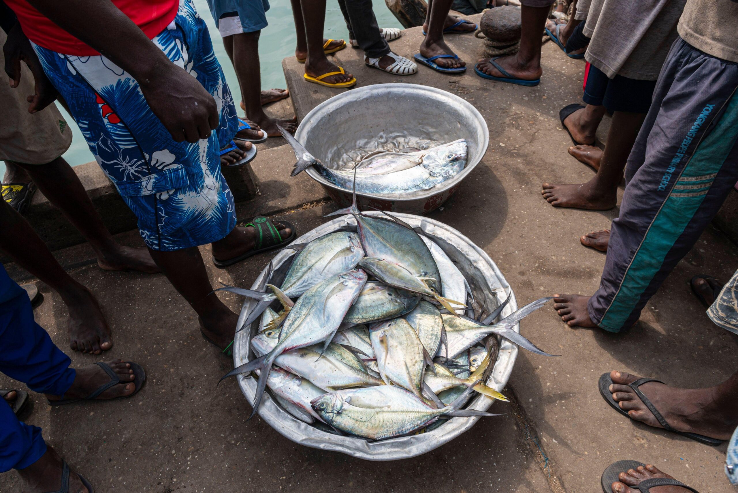 Global Fishing Watch welcomes partnership with Benin to combat illegal fishing