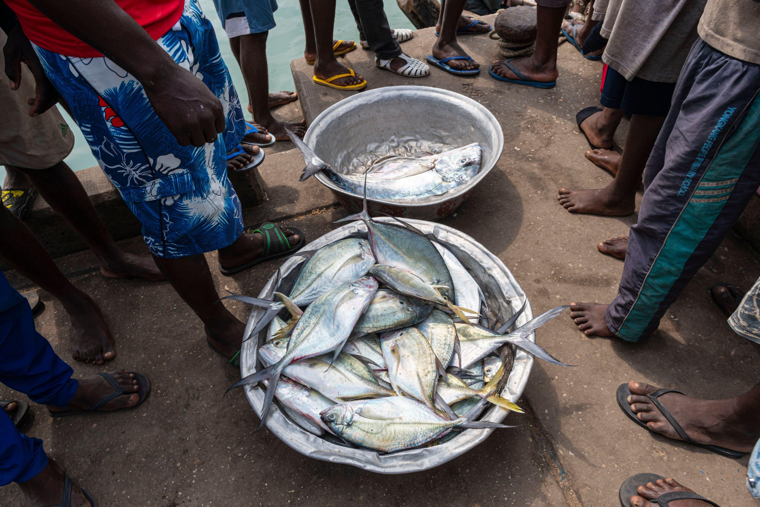 Global Fishing Watch celebra su asociación con Benín para luchar contra la pesca ilegal