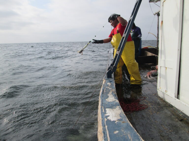 Nuevos horizontes para la pesquería de calamar en Perú