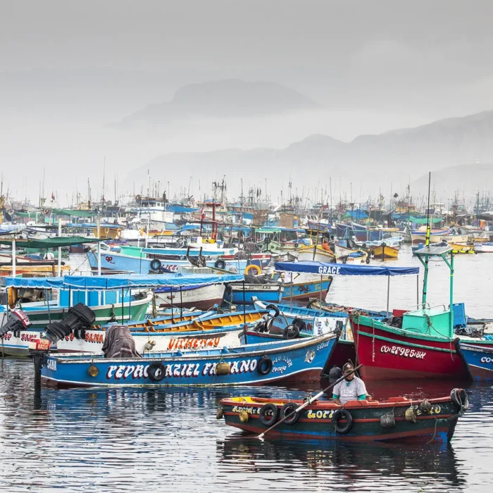 Dozens of colorful fishing boats float on calm water in a crowded harbor, part of the bustling Patagonian toothfish fishery, with foggy hills in the background and a cloudy sky above.