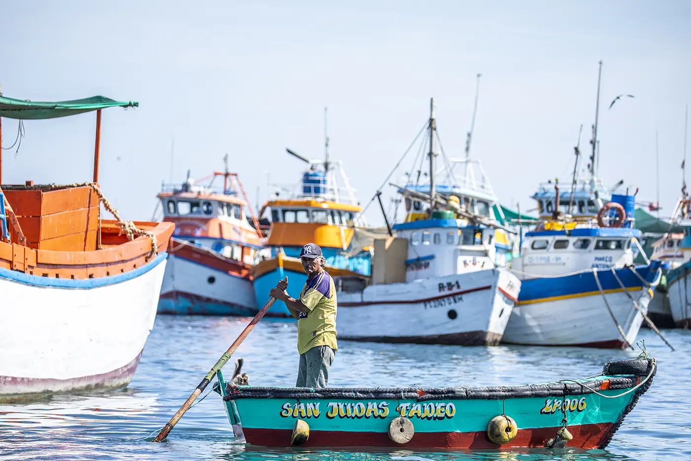 A man rows a small fishing boat named San Judas Tameo on calm water, surrounded by several colorful, anchored boats under a clear sky—a tranquil scene reflecting the importance of fisheries transparency.