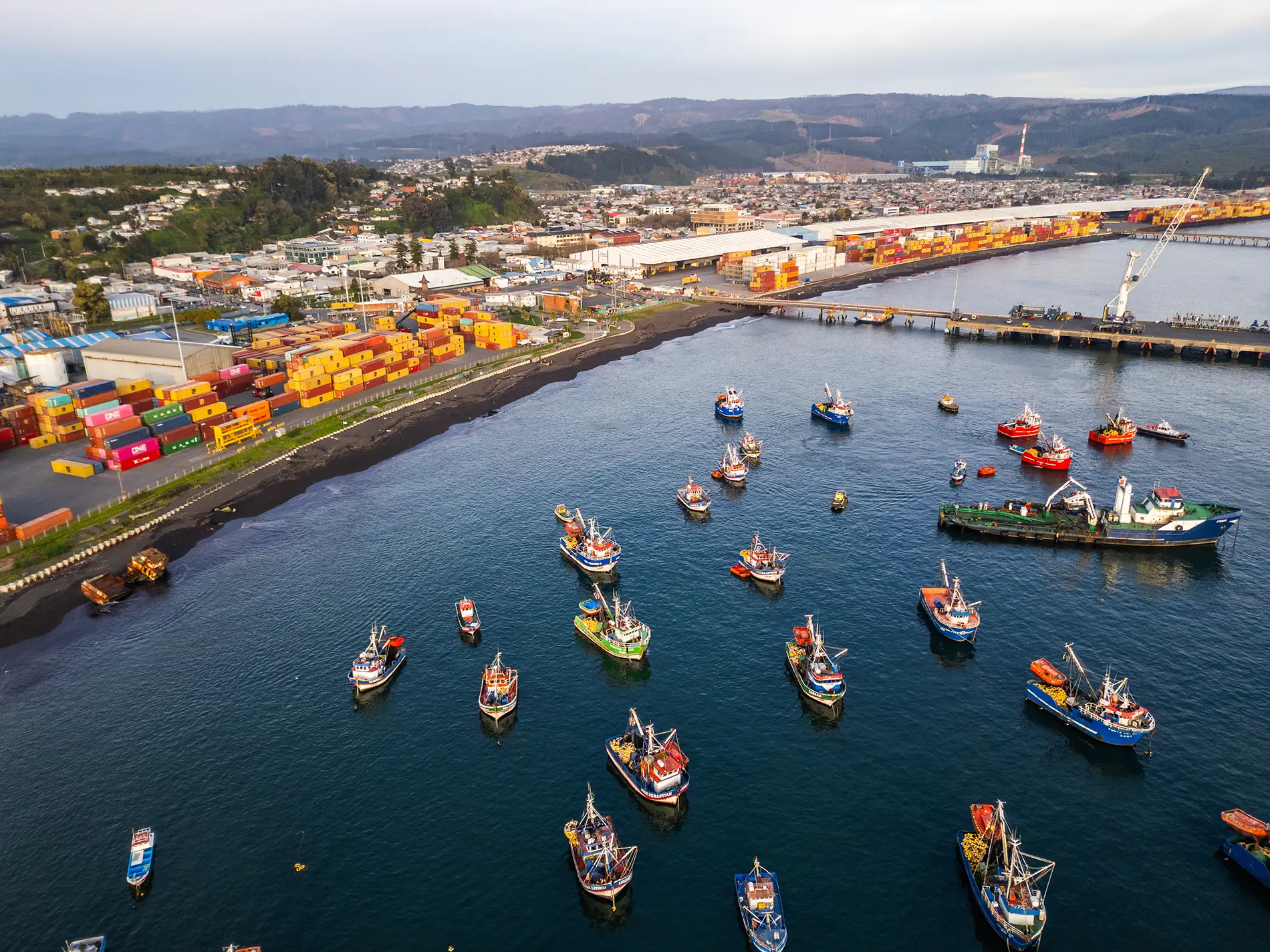 Vista aérea de un ajetreado puerto con numerosos barcos pesqueros de colores en el agua, un muelle con contenedores de color naranja y amarillo, y una ciudad costera al fondo bajo un cielo despejado.