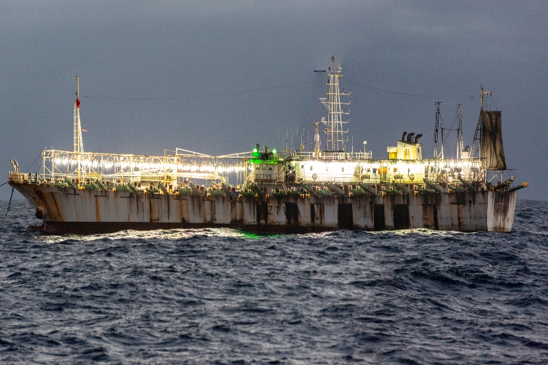 Nearly 400 industrial foreign squid vessels were engaged in fishing activities last month on the border of Peru’s exclusive economic zone (EEZ). The