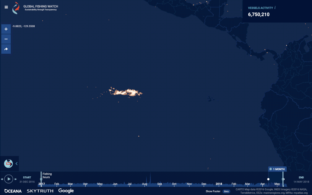 GFW New night light layer squid fleet in the Pacific