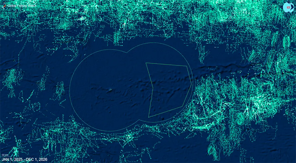 To Safeguard Its Waters, Rapa Nui Turns to Marine Manager