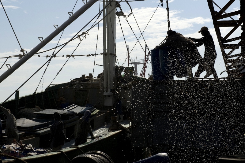 Following Forced Labor in the World's Fishing Fleets