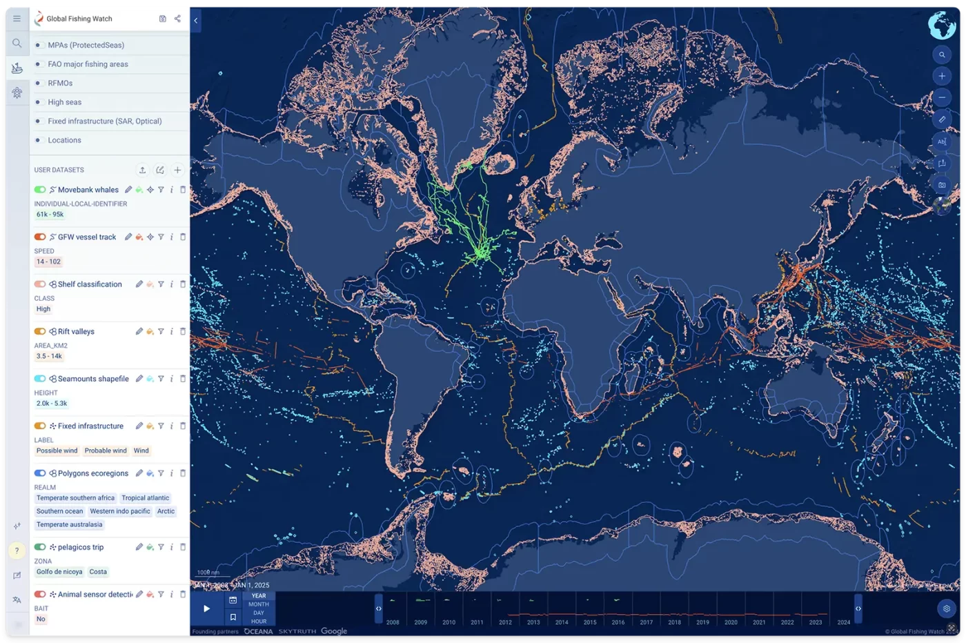 Global Fishing Watch Marine Manager showing data uploads and customization
