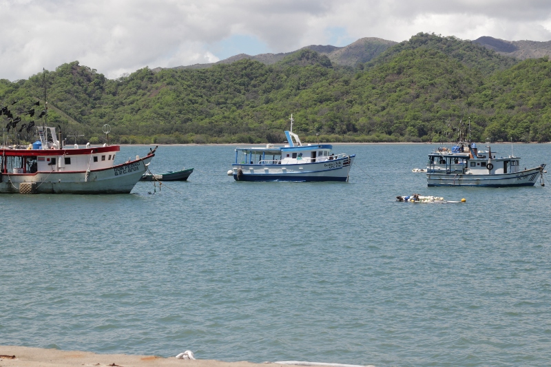 Costa Rica fishing activity