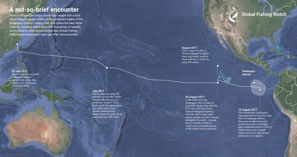 Infographic Galapagos Shark Encounter