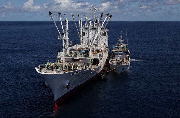 Panama Publishes Vessel Tracking Data on Global Fishing Watch map
