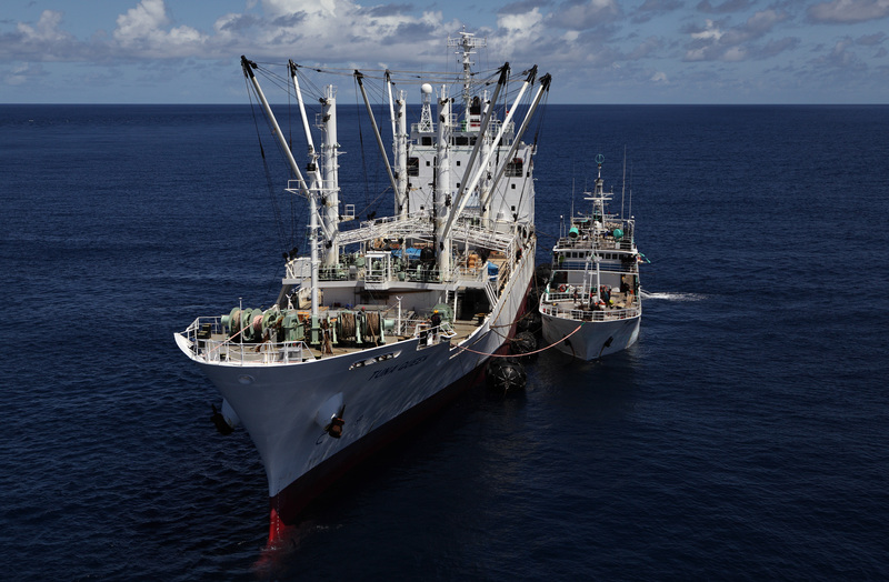 Tuna transshipment in the indian ocean