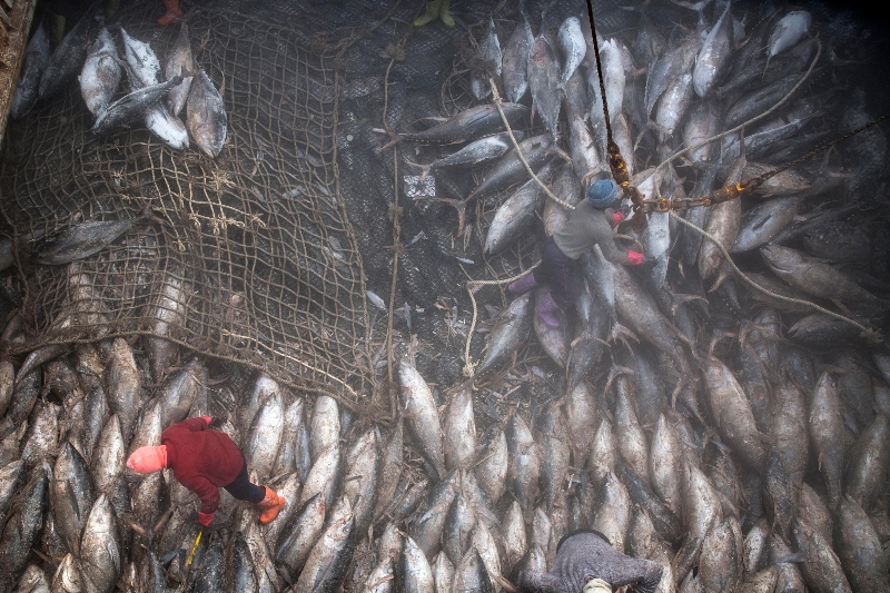 Satellites can reveal risk of forced labor in the world’s fishing fleet