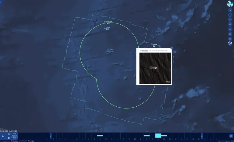 A digital map, created with a python package, displays a section of the ocean with outlined borders and circles. An inset zooms in on a satellite view of a ship, while icons and navigation menus appear on the right and bottom edges.