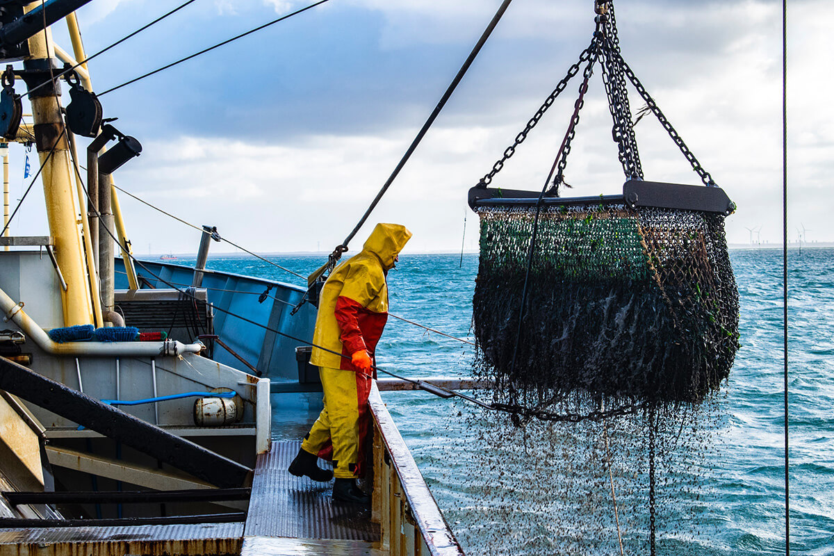 Célula analítica conjunta ayuda a combatir la pesca ilegal y mejorar la  gestión pesquera - Global Fishing Watch