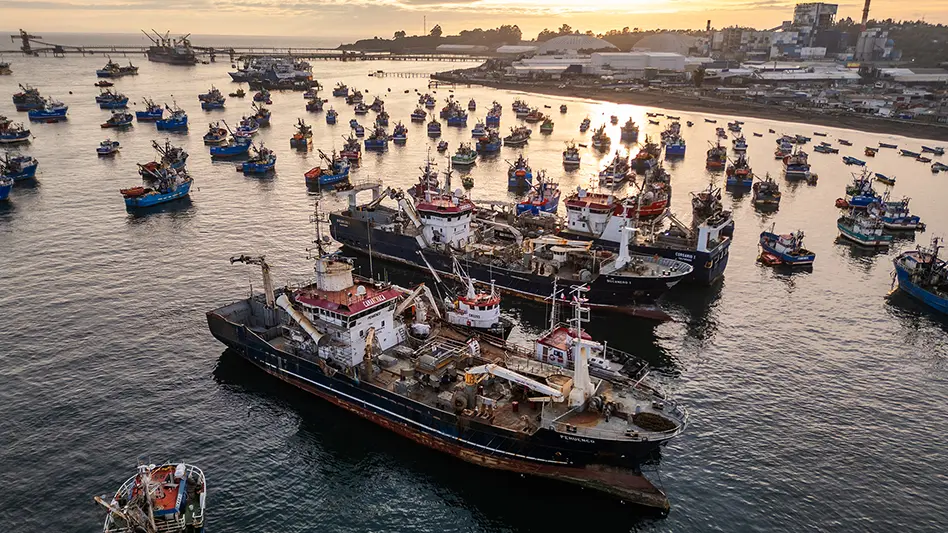 A large number of fishing boats and ships are crowded together in a harbor at sunset, with an industrial shoreline and buildings in the background. The water is calm and the sky is partly cloudy.