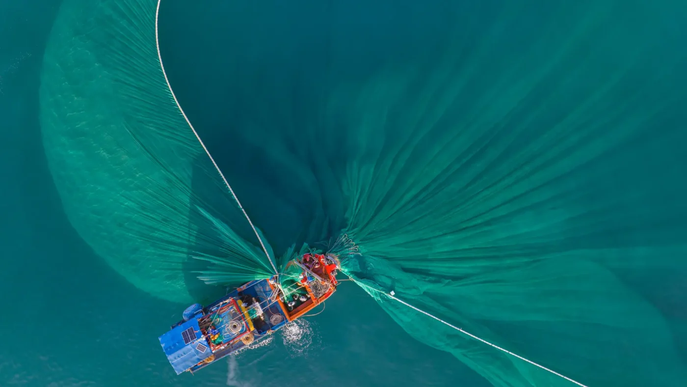 Why Knowing Who Owns What Matters: OECD’s New IUU Fishing Recommendation