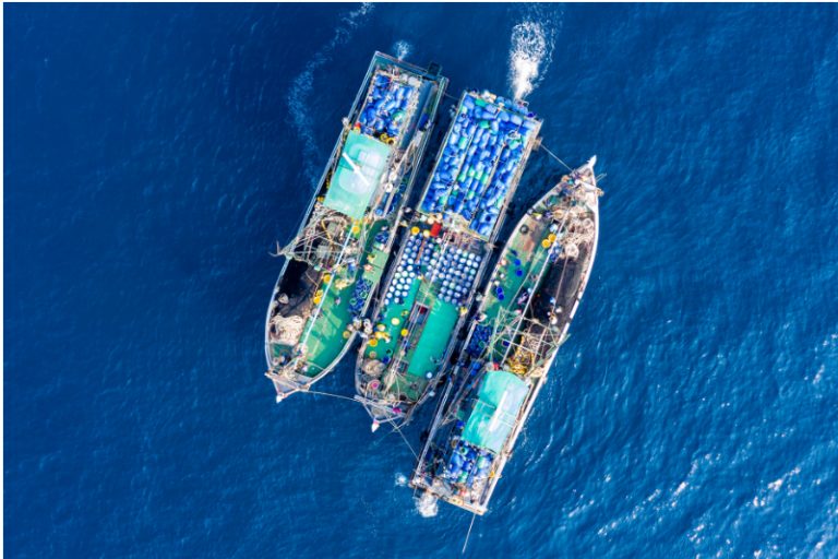 New Technology to Help Tackle Illegal Fishing by Alerting Insurers to Risk