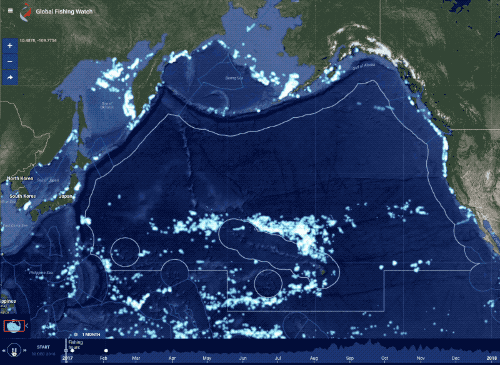 Total fishing effort in the north Pacific from January 2017 to January 2018