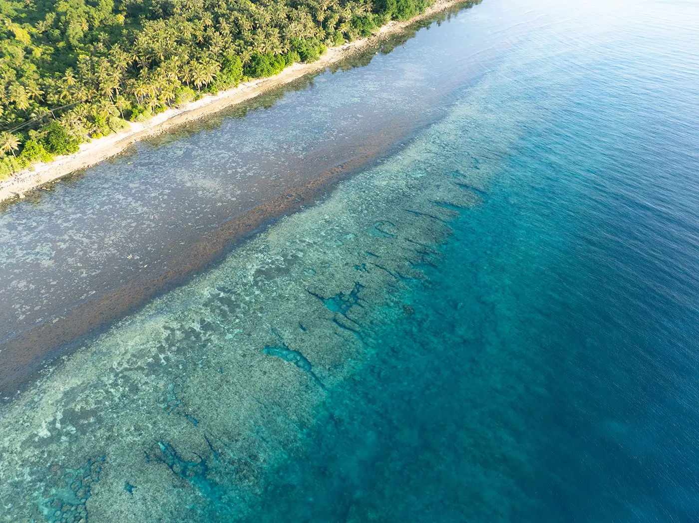 Global Fishing Watch spotlights ocean governance successes, highlighting policy wins and tech innovations
