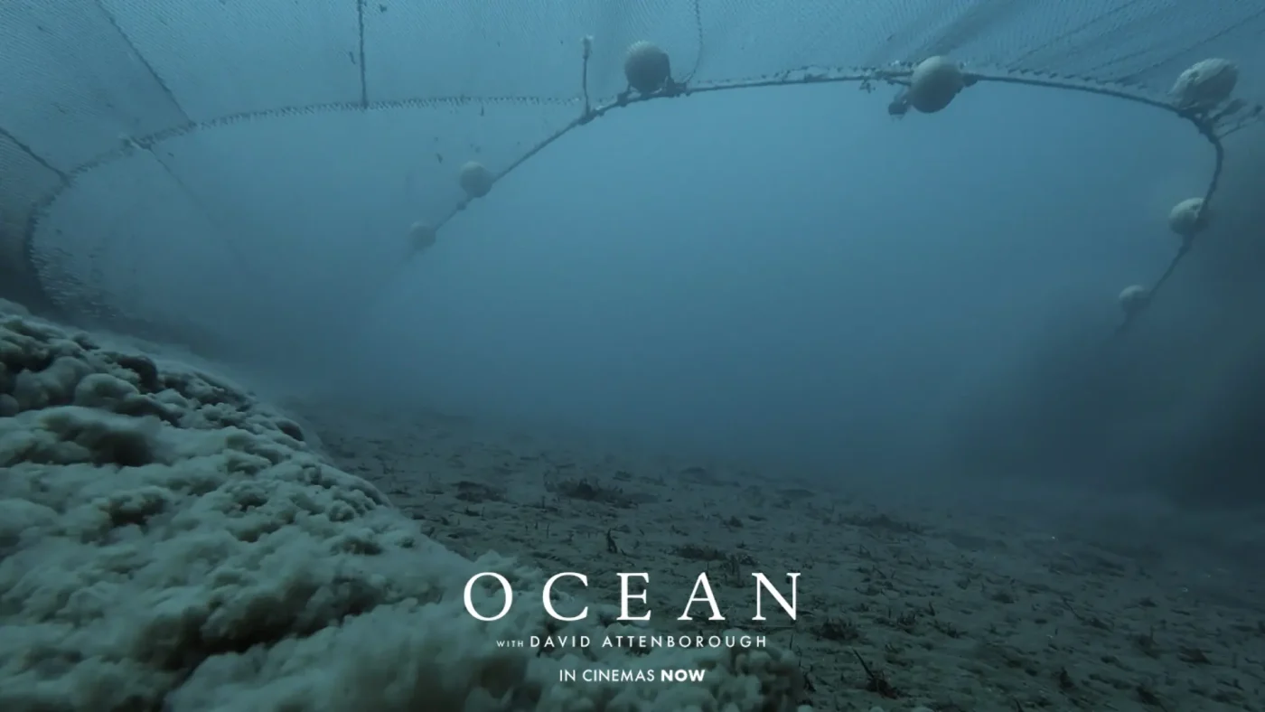 Scène sous-marine montrant le fond de l'océan avec un grand filet de pêche suspendu au-dessus. L'eau est trouble et le texte "OCEAN with DAVID ATTENBOROUGH IN CINEMAS NOW" apparaît au bas de l'image.