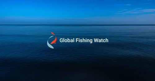 A calm, expansive ocean under a blue sky with the Global Fishing Watch logo and text centered in the image.