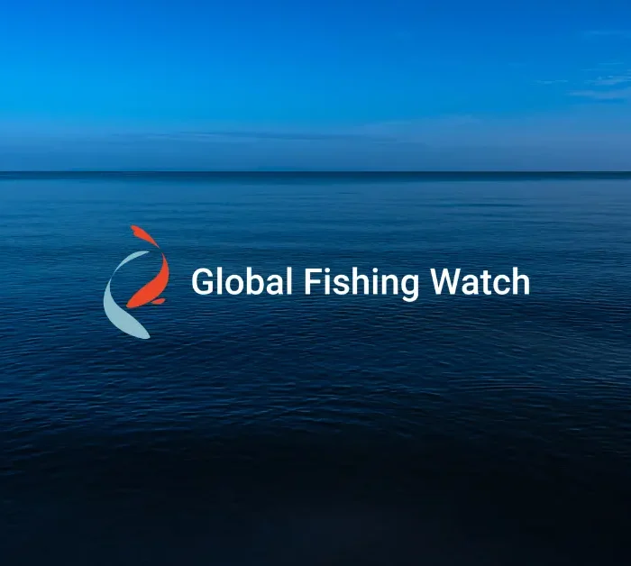 A calm, expansive ocean under a blue sky with the Global Fishing Watch logo and text centered in the image.
