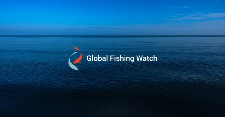 In building for the future, Global Fishing Watch strengthens scientific governance and leadership