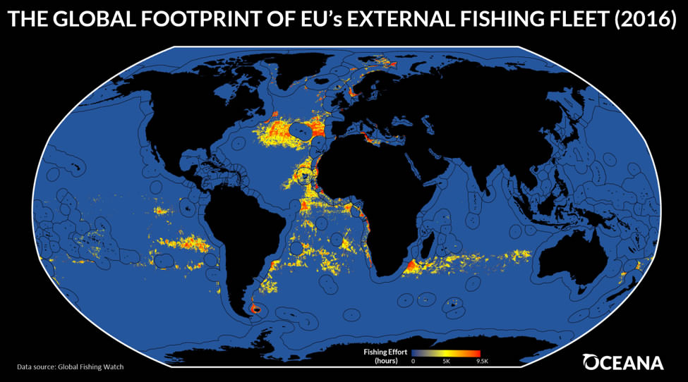 The global footprint of EU's external fishing fleet