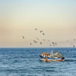 Cinco años de transparencia oceánica: cómo Brasil está dando forma al futuro del Atlántico Sur