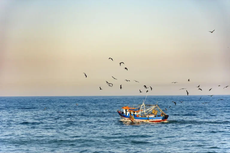 A colorful fishing boat floats on the ocean under a clear sky, surrounded by flying seabirds, while high-resolution satellite imagery captures the vibrant scene—an invaluable tool for monitoring activities such as those in the Patagonian toothfish fishery.