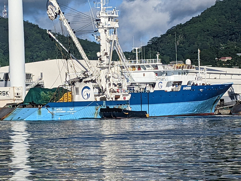 A large blue and white fishing vessel docked at a harbor, with dense green forest and white industrial buildings in the background, and the ship’s reflection visible in the calm water.