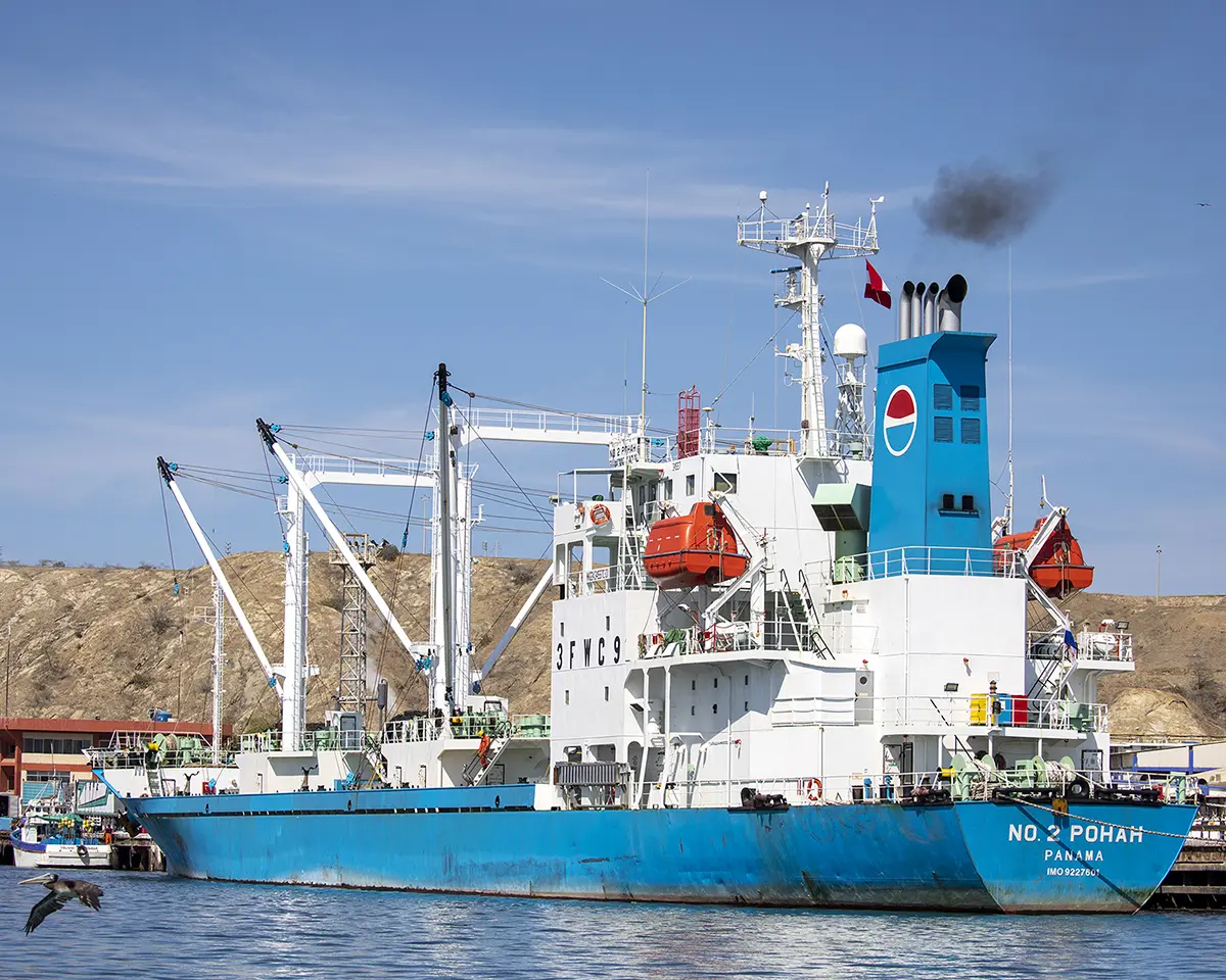A large blue and white cargo ship named “No. 2 Pohan” is docked at a port, highlighting the importance of fisheries transparency. Black smoke rises from its funnel. The background shows a rocky coastline, partly cloudy sky, and a bird flying near the water.