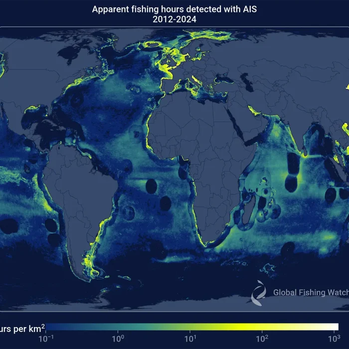 A dark blue world map showing apparent fishing hours detected with AIS for the time period 2012 through 2024, with a gradient scale indicating apparent fishing hours per square kilometer in the ocean from low (blue) through green and yellow to high (white)