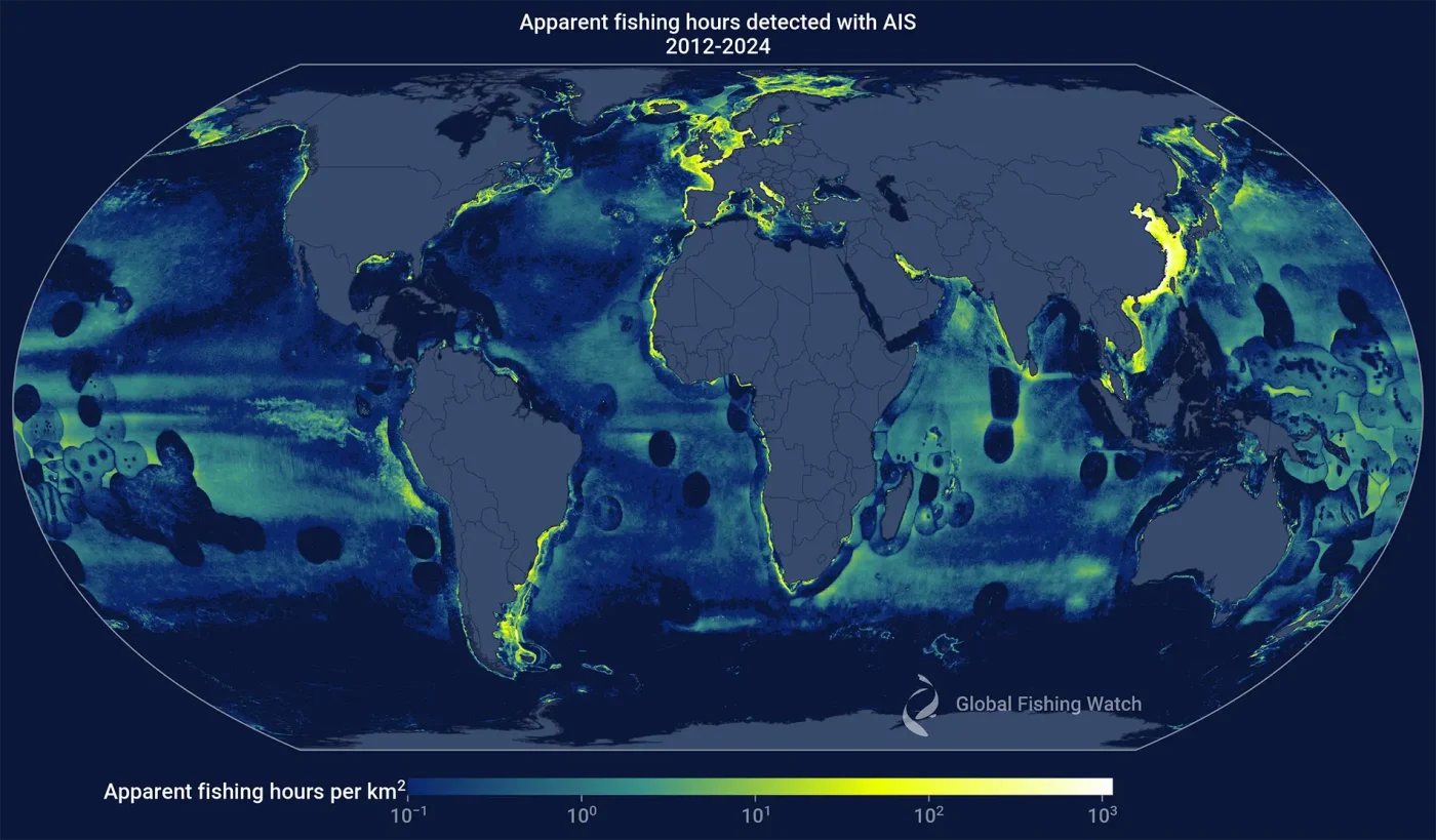 A dark blue world map showing apparent fishing hours detected with AIS for the time period 2012 through 2024, with a gradient scale indicating apparent fishing hours per square kilometer in the ocean from low (blue) through green and yellow to high (white).