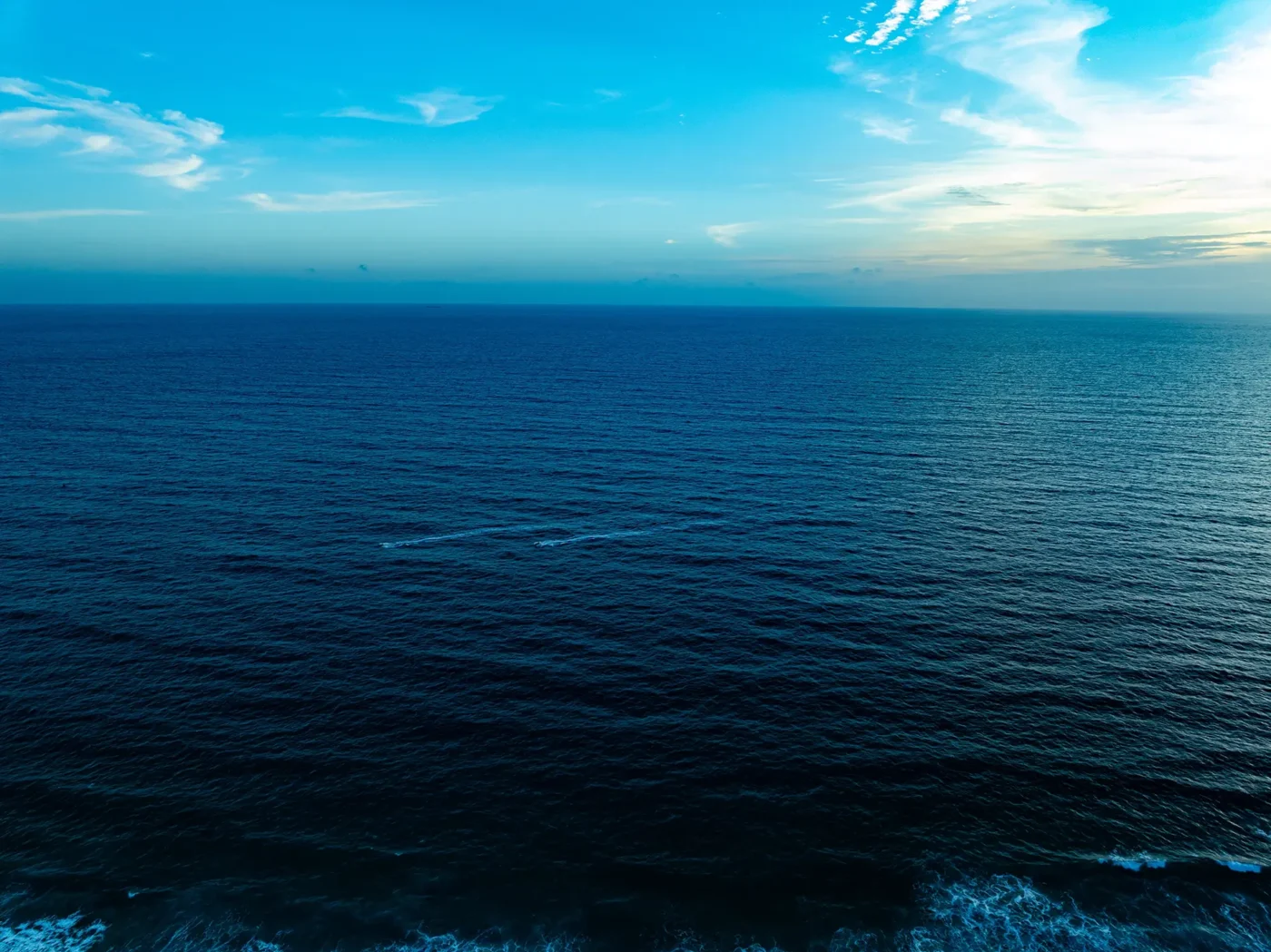 The High Seas Treaty is now in force — transparency will determine its success