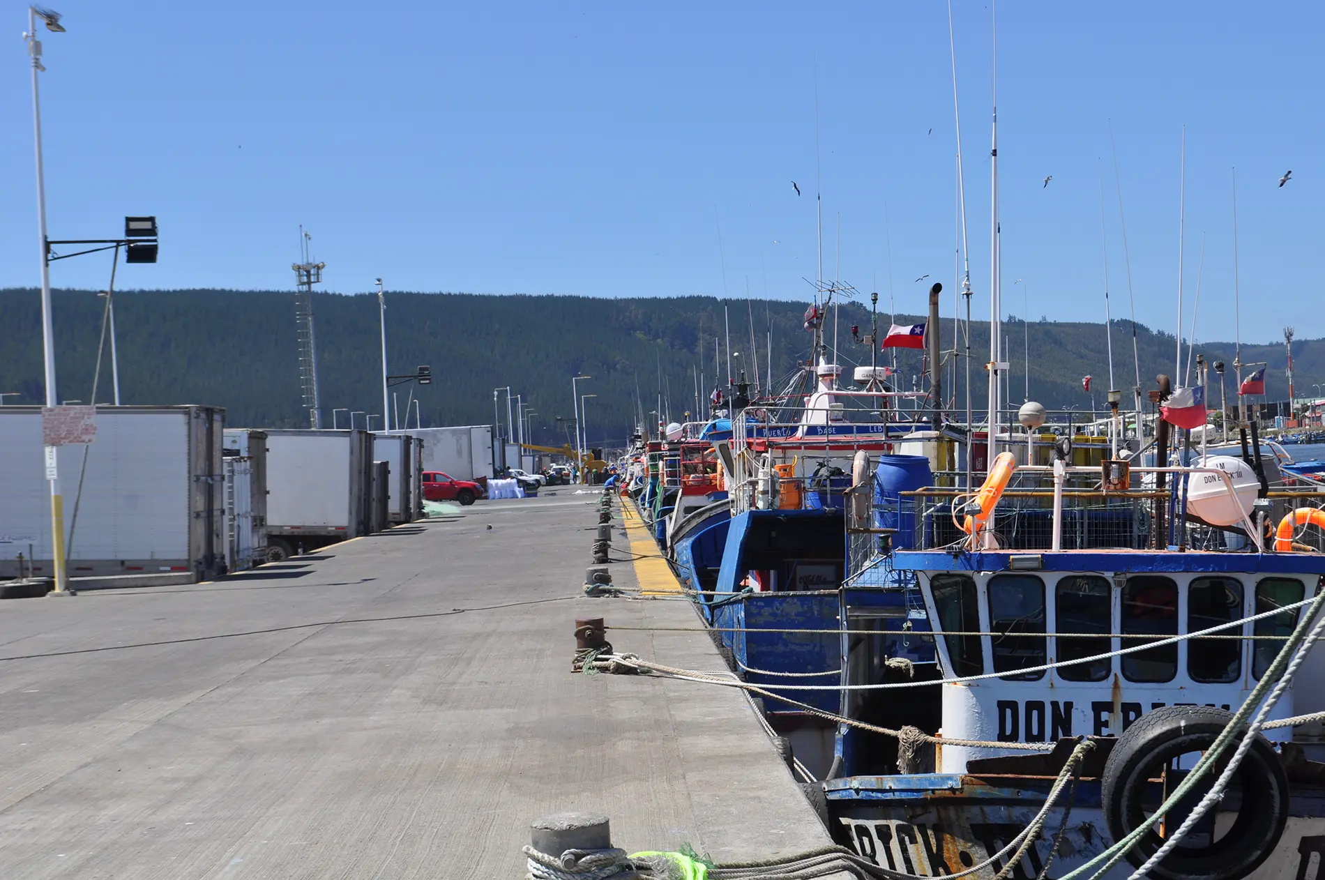 Longline vessels docked in the port of Lebu, Chile. Longlining is a fishing gear widely used to catch Patagonian Toothfish.