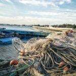 Technology for Transparency: Fishing and marine management in the Mediterranean region