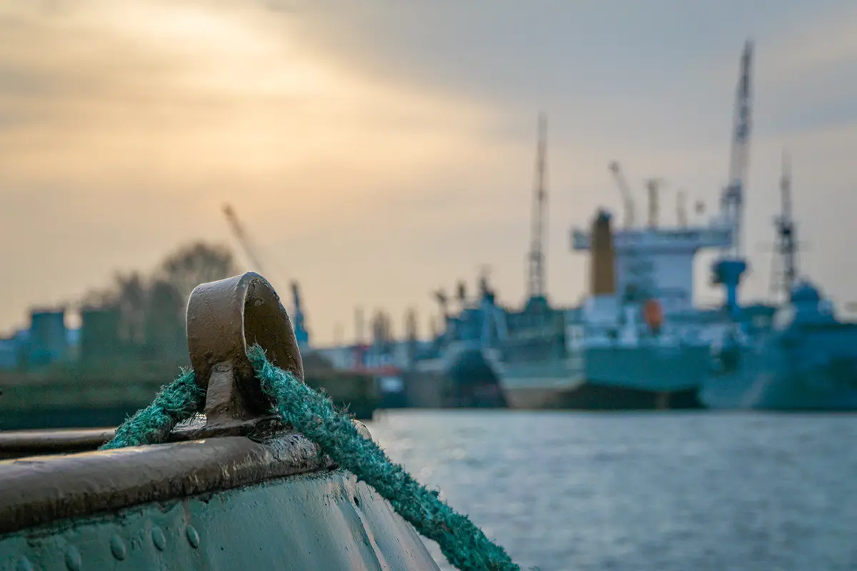 Illegal fishing thrives out of sight. Transparency brings it into view