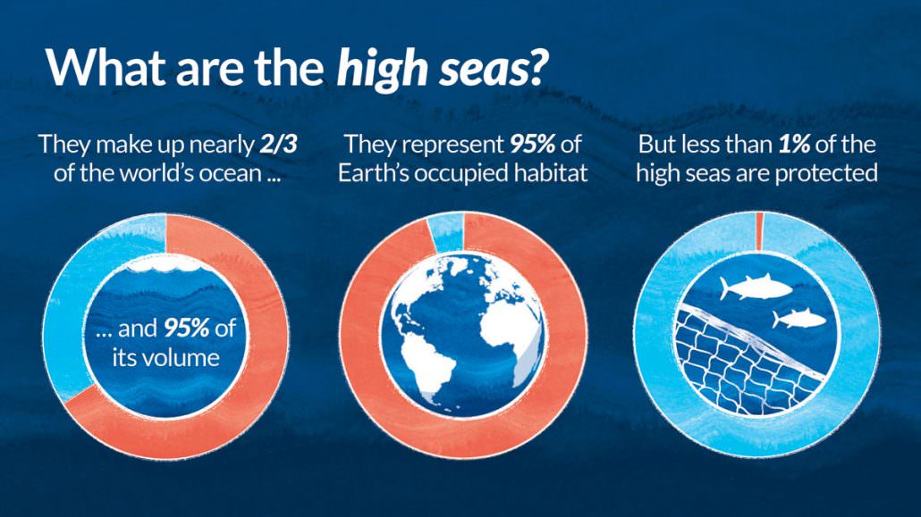 What are the high seas?