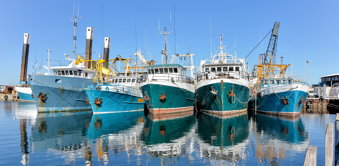 fishing vessels in port