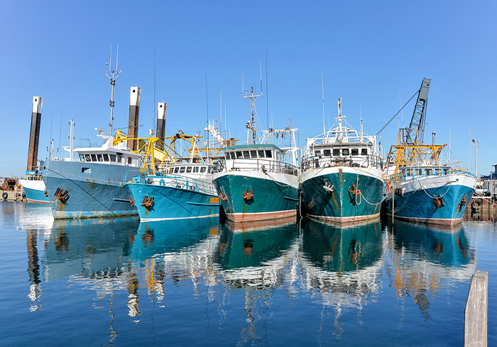 fishing vessels in a port