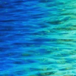 Albania leads regional action to protect Norway lobster in the Adriatic