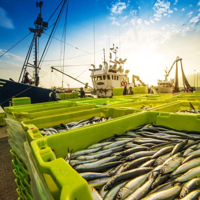 Fotografía de un puerto con pescado apilado en cajas amarillas en primer plano y barcos pesqueros en el muelle detrás de ellos.