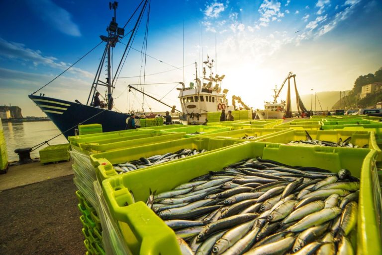 Fotografía de un puerto con pescado apilado en cajas amarillas en primer plano y barcos pesqueros en el muelle detrás de ellos.