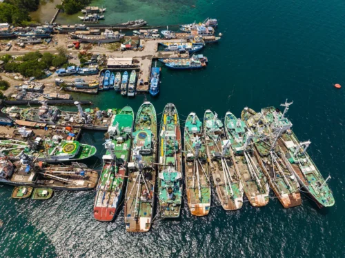 Aerial view of multiple fishing boats docked closely together at a busy harbor within Cocos Island National Park, with more boats and equipment visible on the shore nearby.