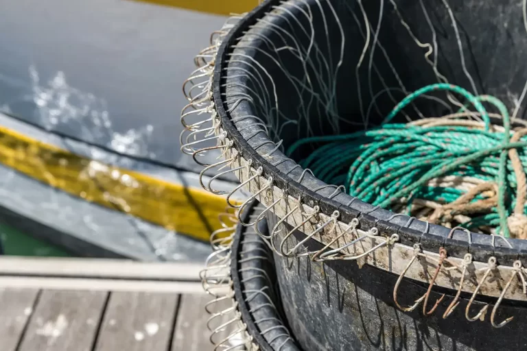 Avances en el análisis de radares satelitales ayudan a revelar la actividad pesquera